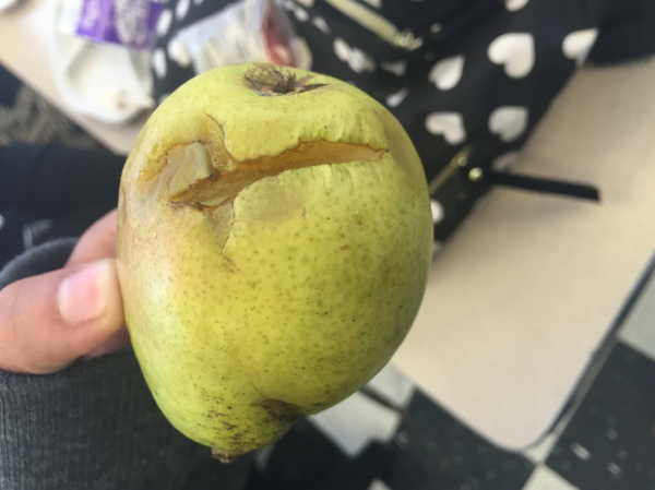 Jesus_pear